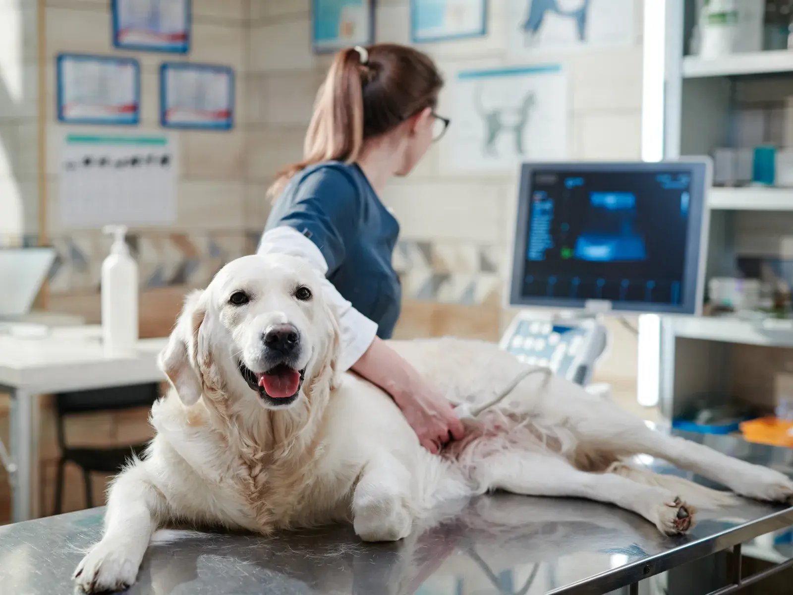 tomtechtodaycom_926338128